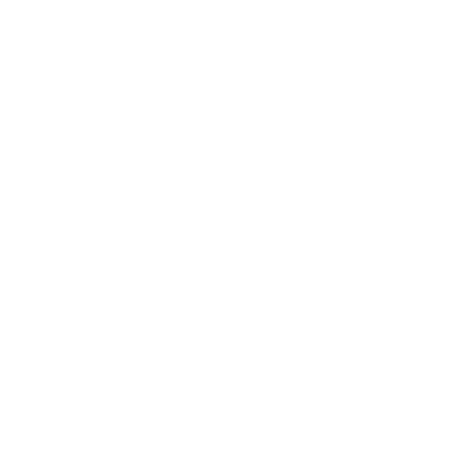 Pirate policy